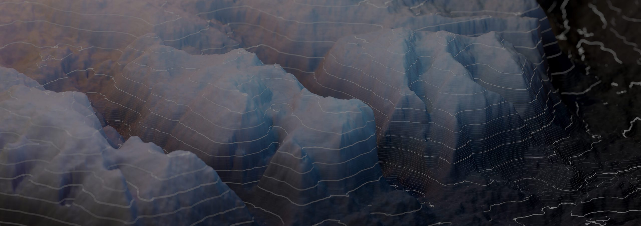 Case Study testimonial